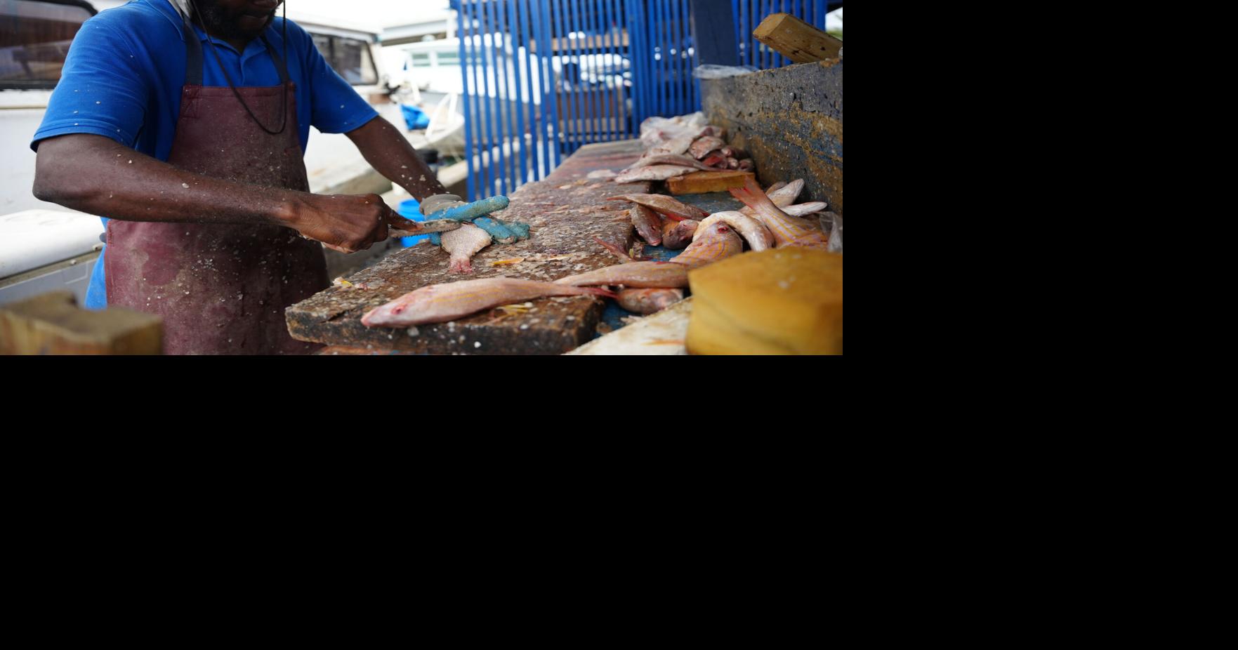 Fisheries alliance bracing for headwinds after Trump announces increase in tariffs