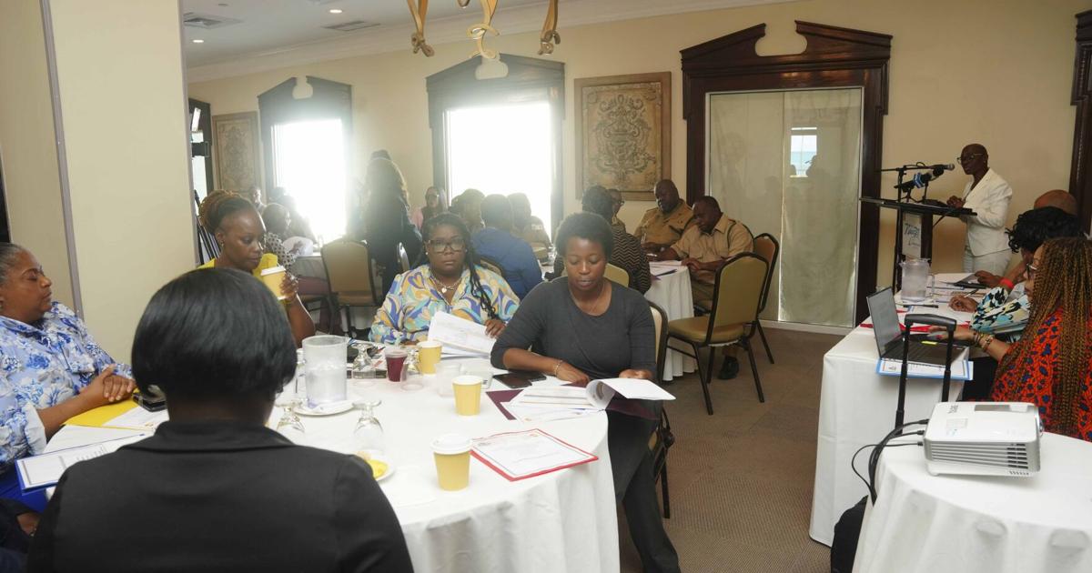 Ministry hosts gender violence workshop
