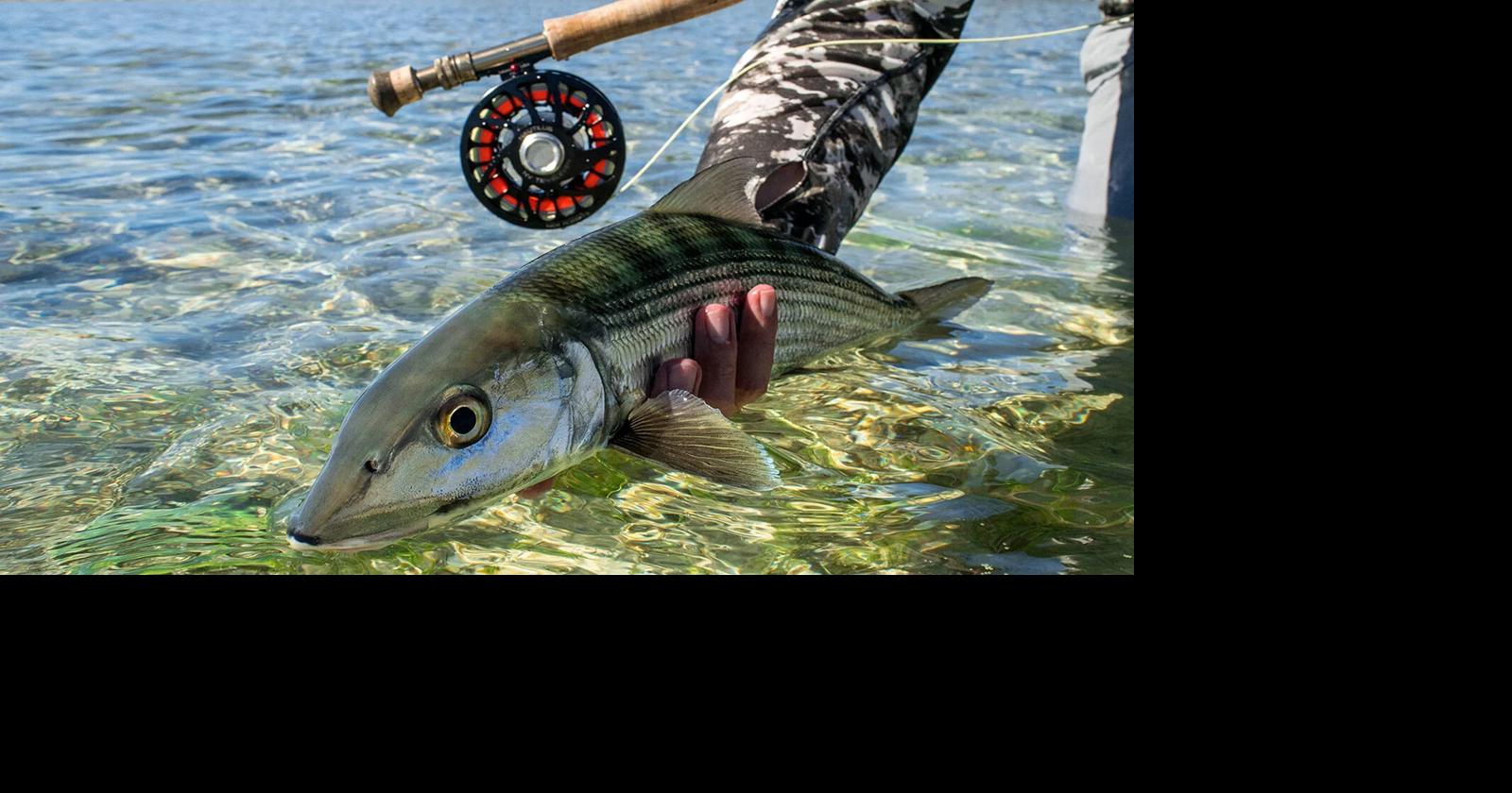 ABM president wants fly-fishing permit process available online