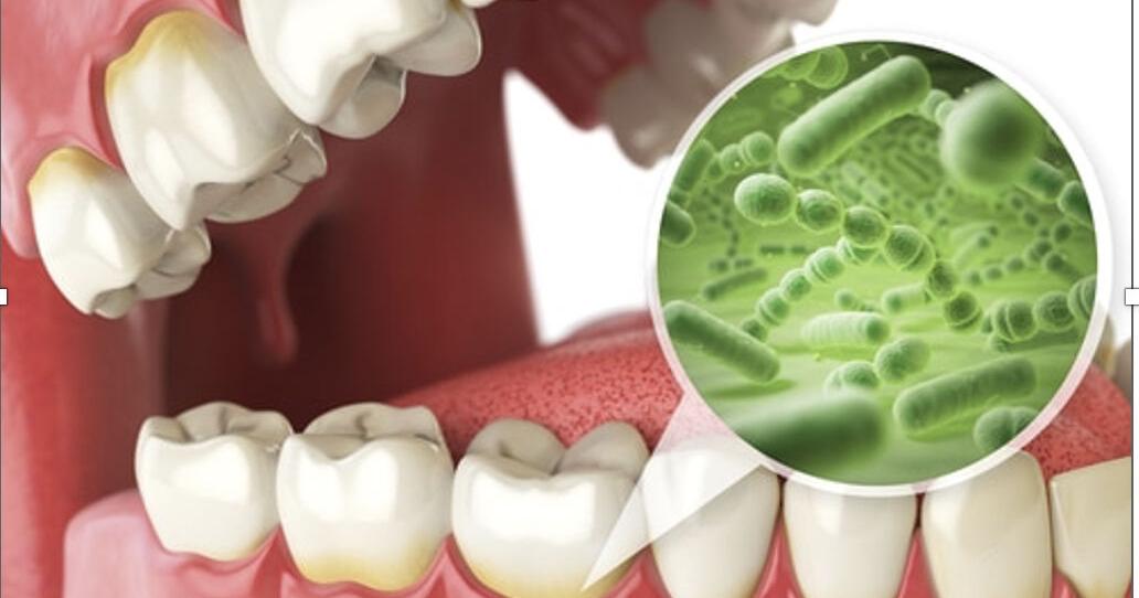 Your mouth: A remarkable organ in a hostile environment