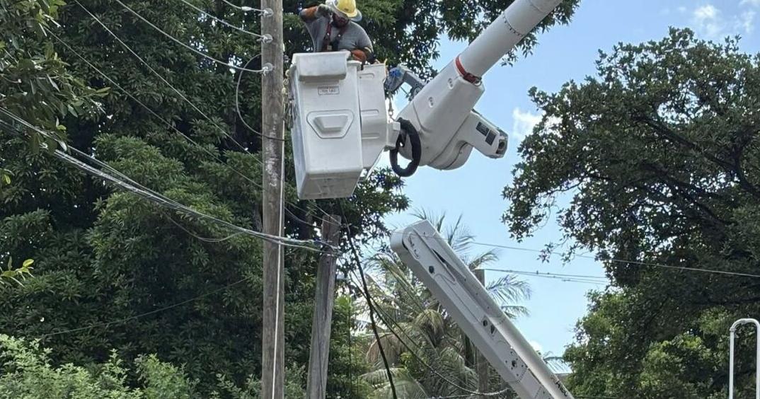 Electricity grid upgrade project within budget, 20% ahead of schedule