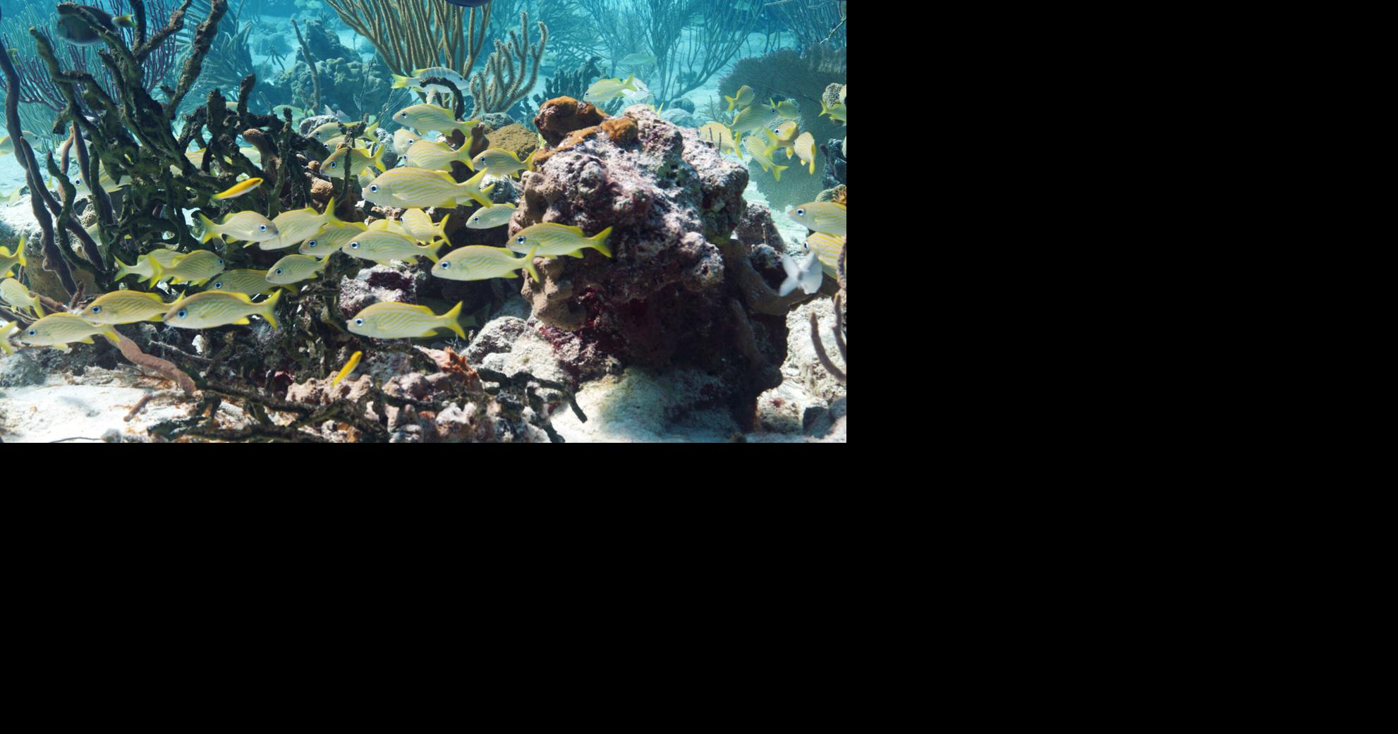 SEA concerned about proposed amendments to EIA regulations