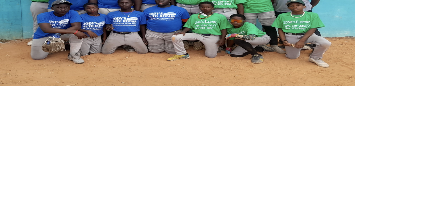 Mario Ford Baseball Camp back for another year
