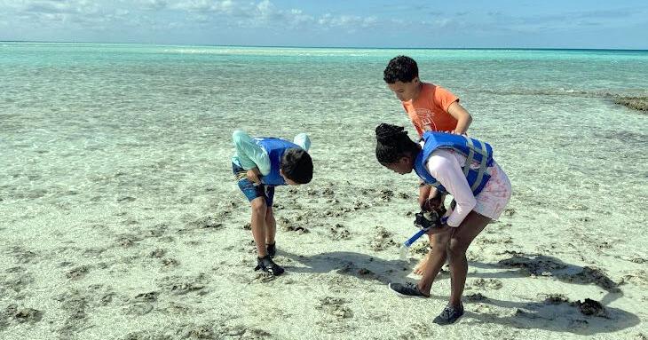 Green School awarded $50K grant with matching challenge from Coughlin Foundation as environmental education expands