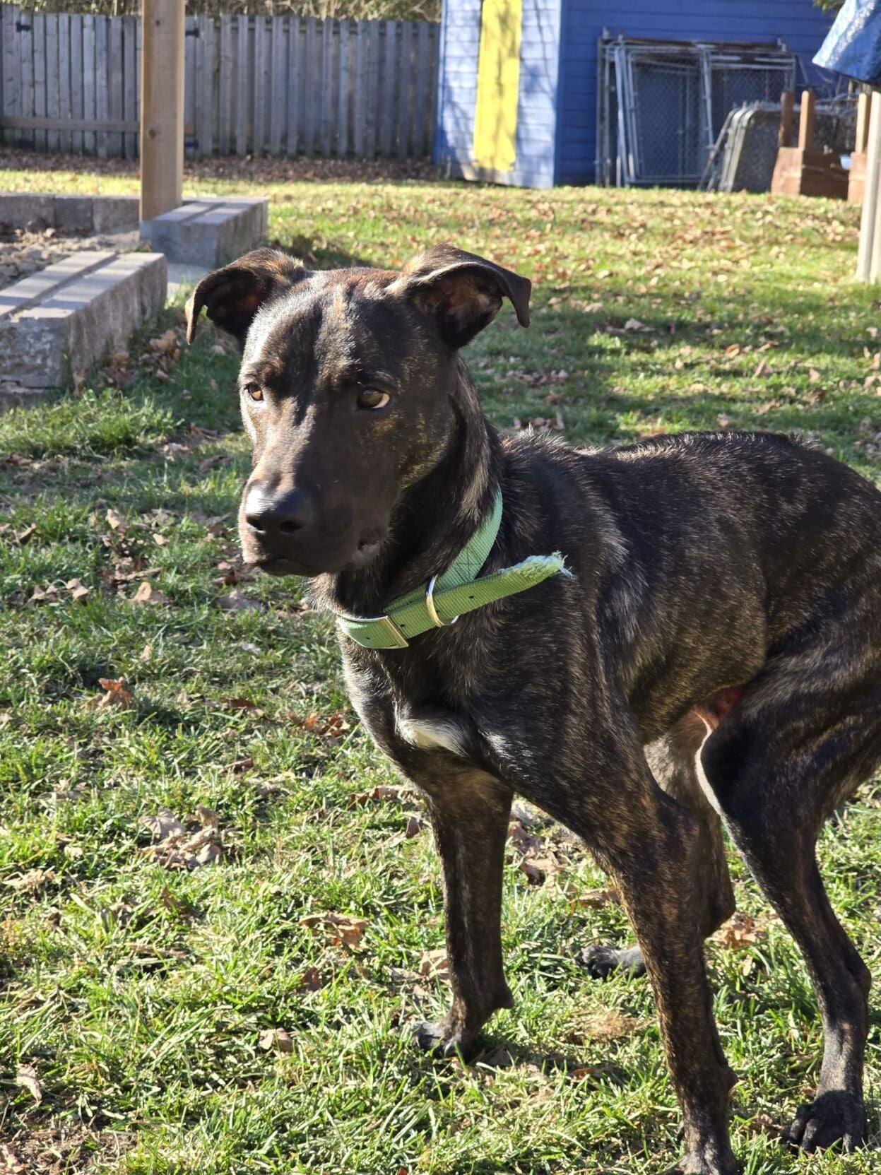 Luke, thrown away twice, is battling for a better life | News ...