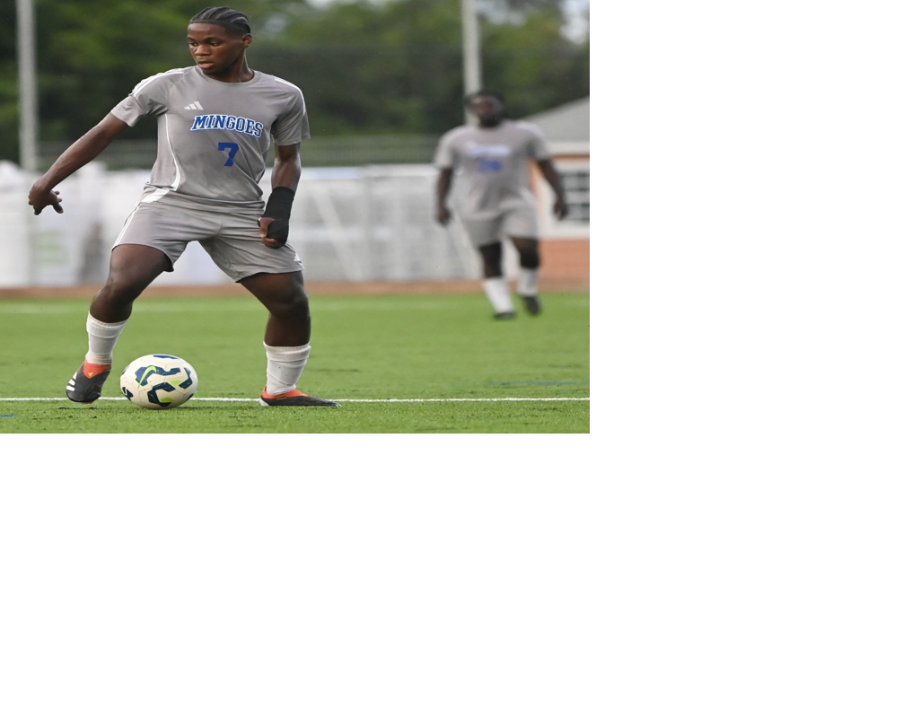 Mingoes notch 4-1 win over the Future Stars | Sports ...