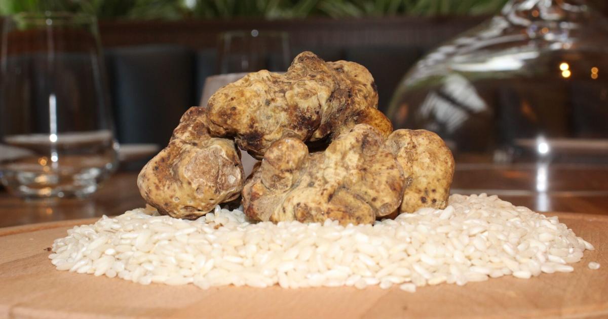 A celebration of Italian white truffle season at Paranza at The Cove at ...