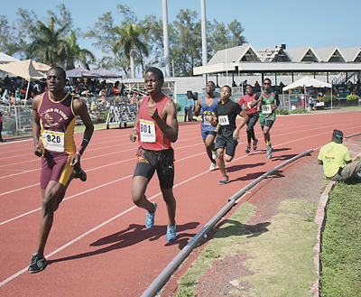 Sports-Track and Field.png