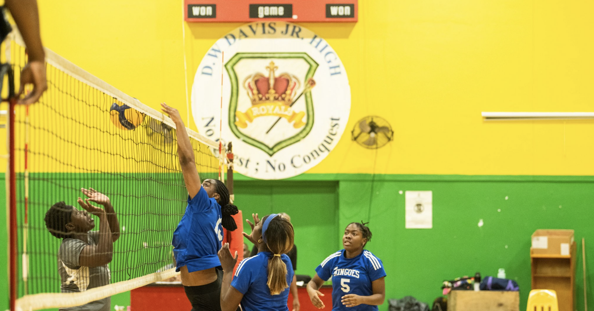 Mingoes unterliegen den Lady Warhawks