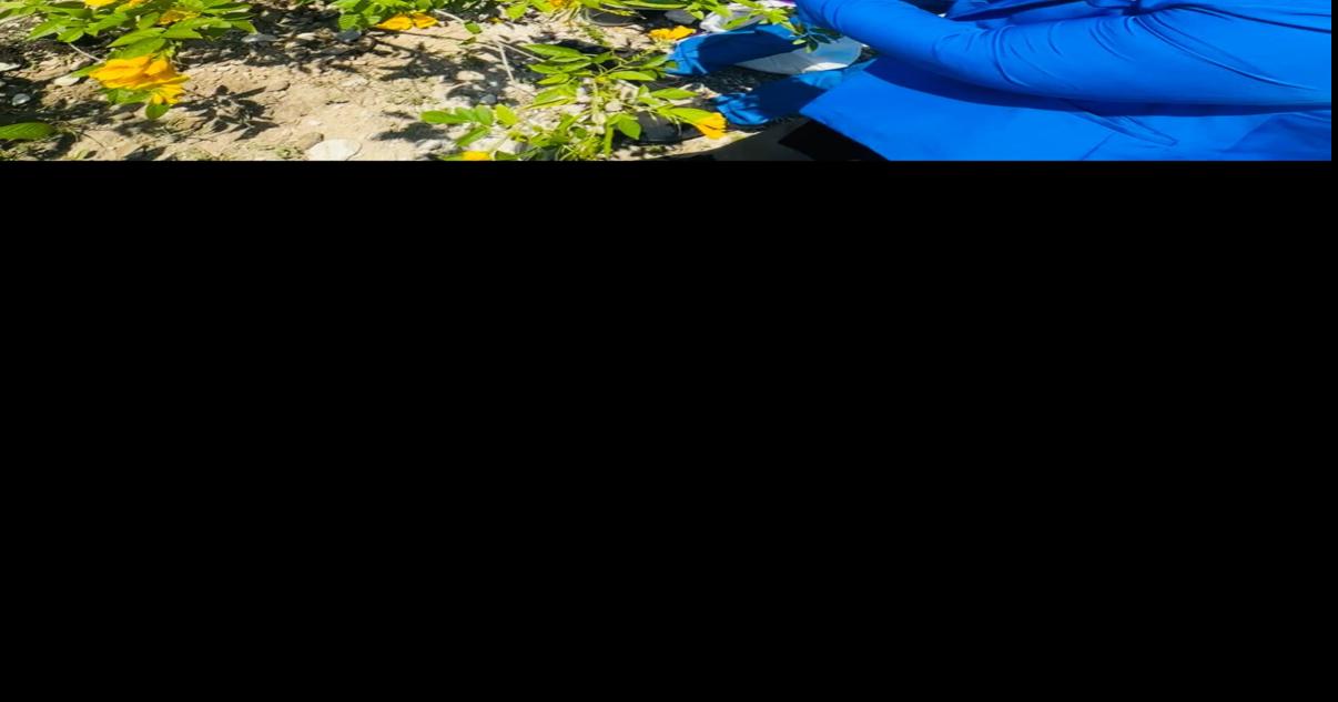 Bahamas Forestry Unit plants Yellow Elder trees at Holmes Rock Junior High School to mark Forestry Awareness Week