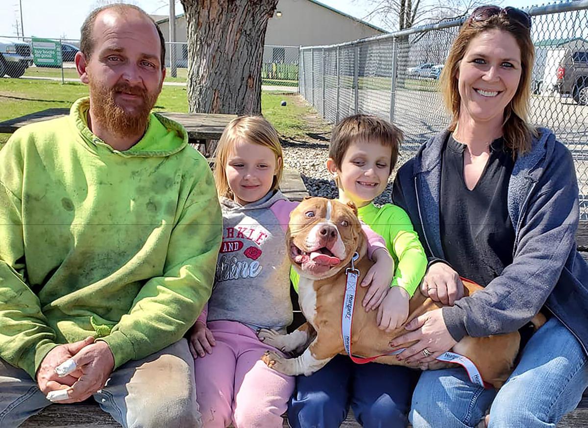 Animal shelters also providing emergency assistance to pet owners