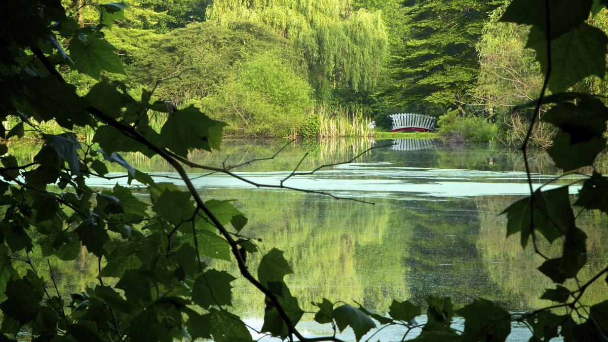 Memberships still offered at Friendship Gardens | Local News