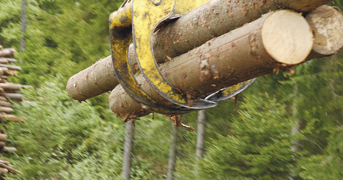 Counties share $27.7M in BLM timber revenue