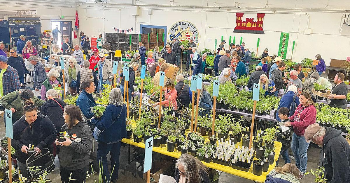 Spring plant spectacular - Vimarsana News