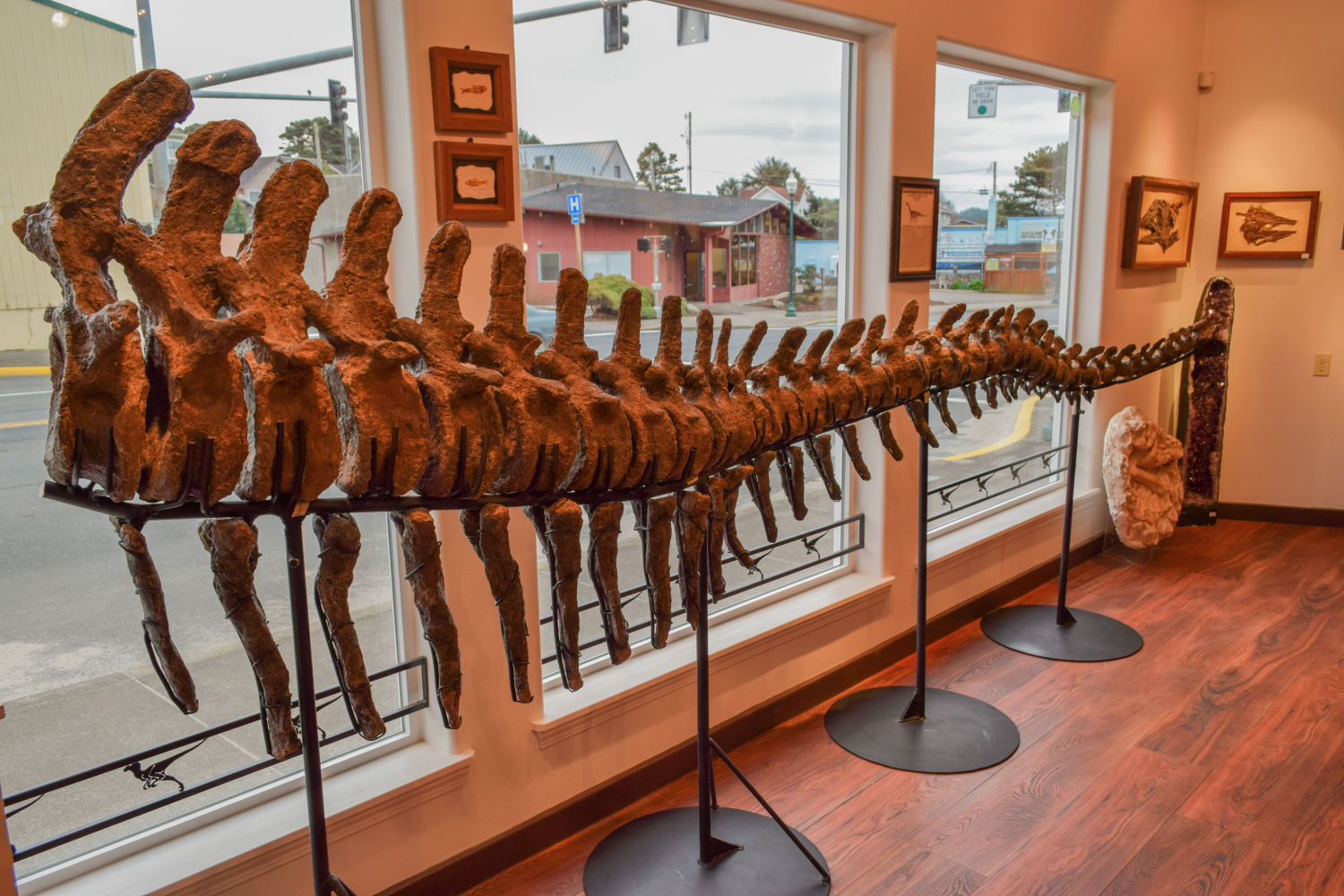 VIDEO LINCOLN CITY GOES PREHISTORIC News thenewsguard