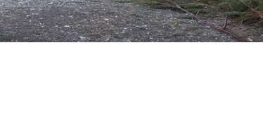 Storm Aftermath: 9 state parks closed - Vimarsana News