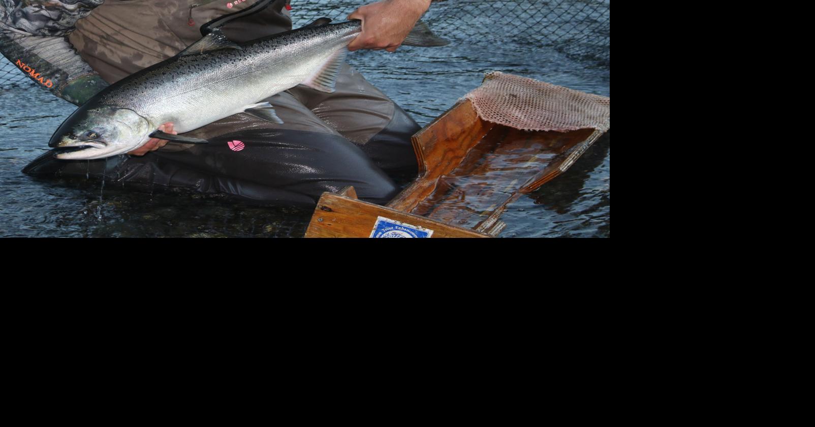 Salmon Fishing ODFW announces new regulations News