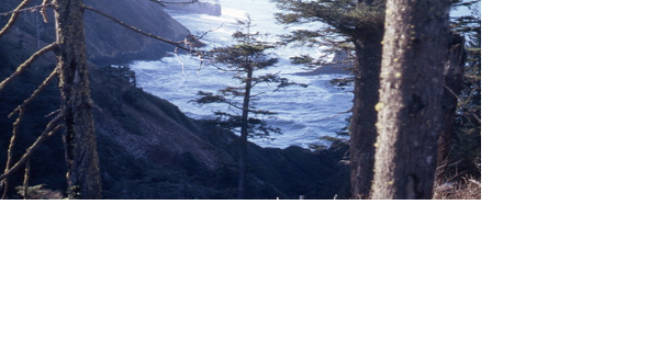Two Sides of Cascade Head: Lecture Jan. 25 - Vimarsana News