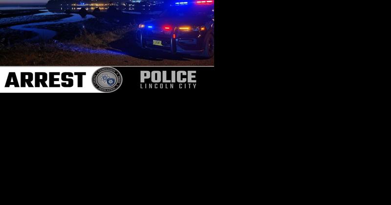 Stolen Vehicle Investigation: One arrest by LCPD officers - Vimarsana News