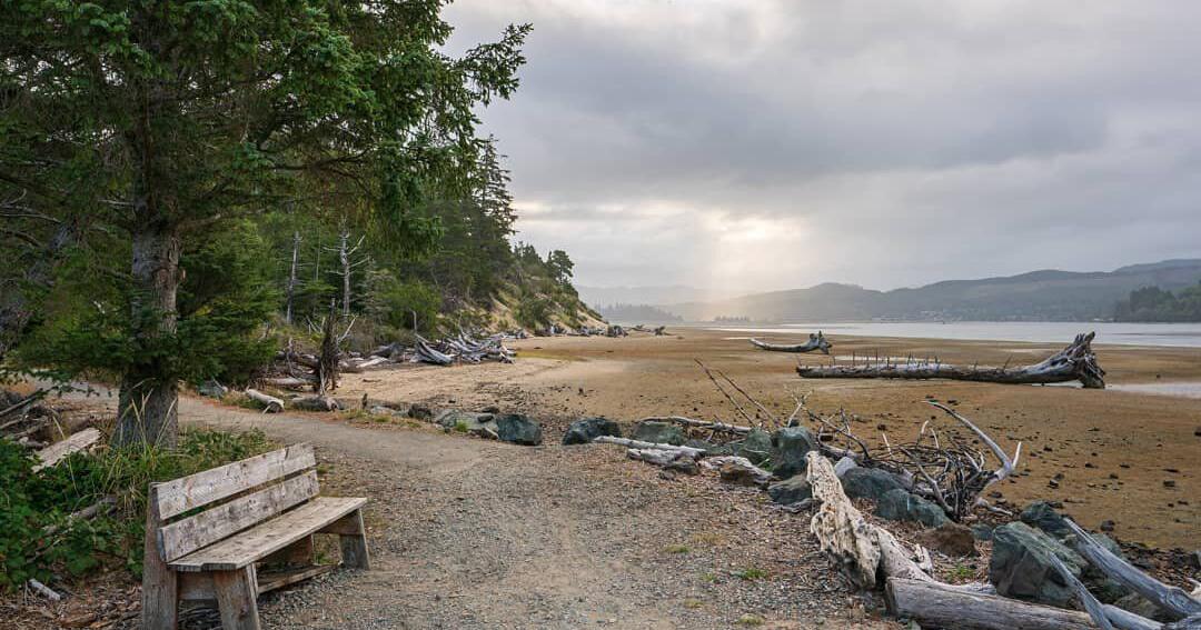 Cougar Sighting: Multiple reports force closure of coast trail - Vimarsana News