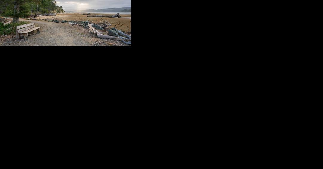 Update / Cougar Sighting: Multiple reports force closure of coast trail, cougar also spotted at Cannon Beach - Vimarsana News