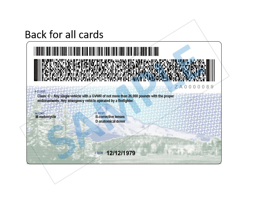 NEW DESIGN DMV launches new license security features News