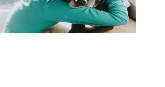 Humane Society reminders for keeping Pets safe during the 4th of July Weekend