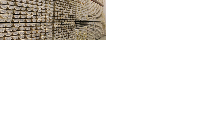 Storage Grant: OSU Marine and Geology Repository receives $4.6M - Vimarsana News