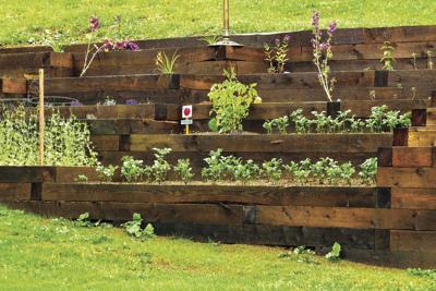Tip Of The Week 15 Easy Gardening Projects To Kick Off Spring Community Thenewsguard Com