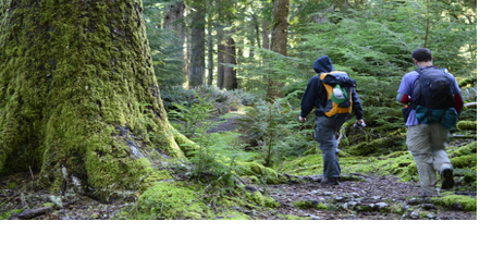 Column: Staying Safe on Winter Trails - Vimarsana News