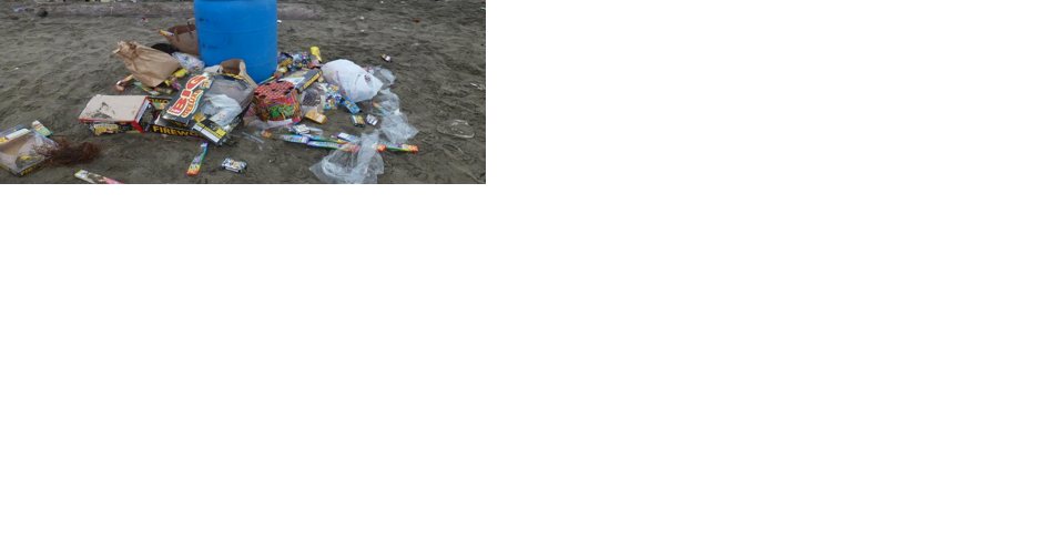 United: Volunteers to clean up after Fouth of July celebrations - Vimarsana News