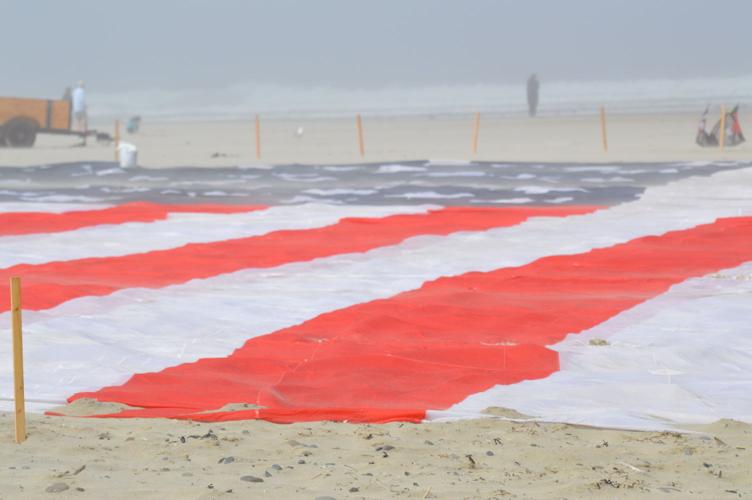 Video Update Kite Festival Weather Too Windy To Launch Mega Flag News Thenewsguard Com Video Update Kite Festival Weather Too Windy To Launch Mega Flag News Thenewsguard Com
