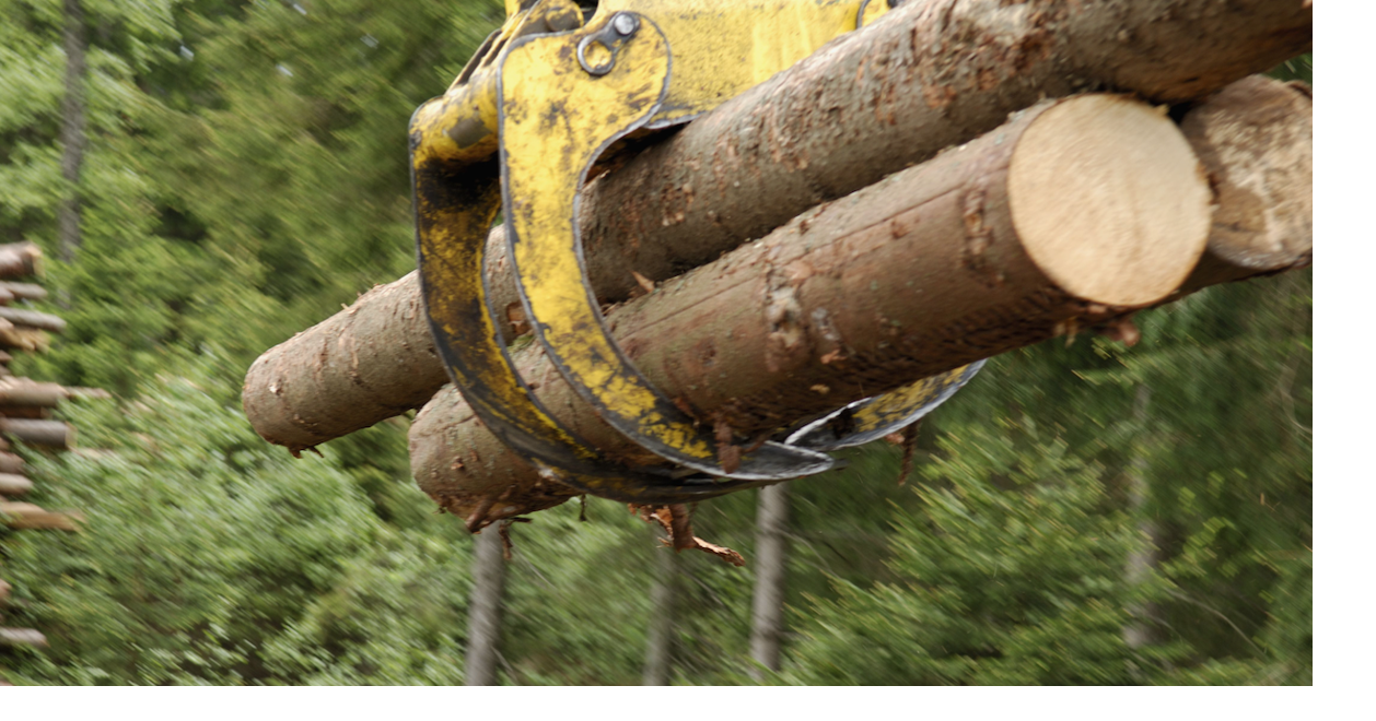 Counties excluded from federal timber funds | News | thenewsguard.com