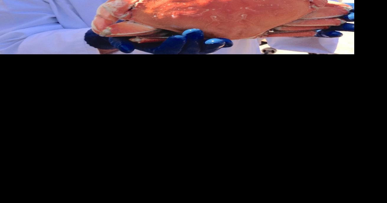 Depoe Bay’s Crab Feed, Boat Show set for April News