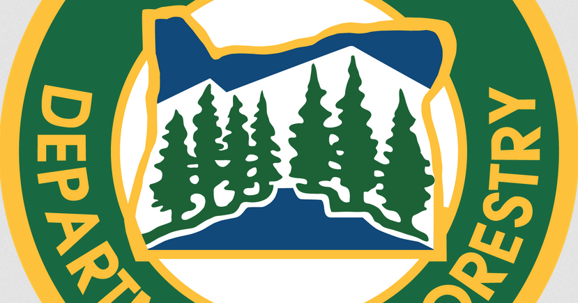 68dac6a017128.image.png?crop=829,435,0,1