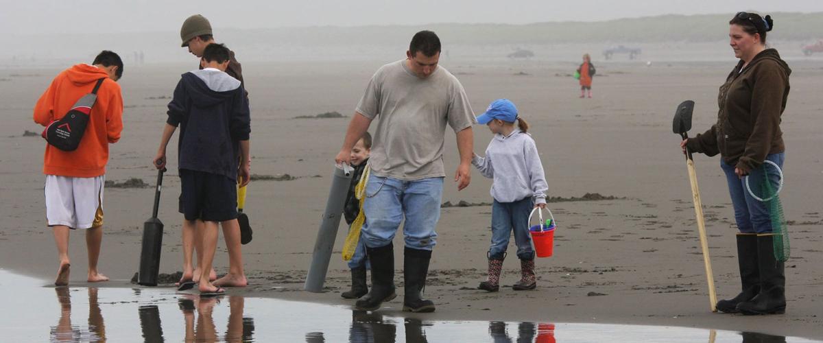 Razor Clamming Open Along Most Of Oregon Coast Remains Closed To Non Residents News Thenewsguard Com