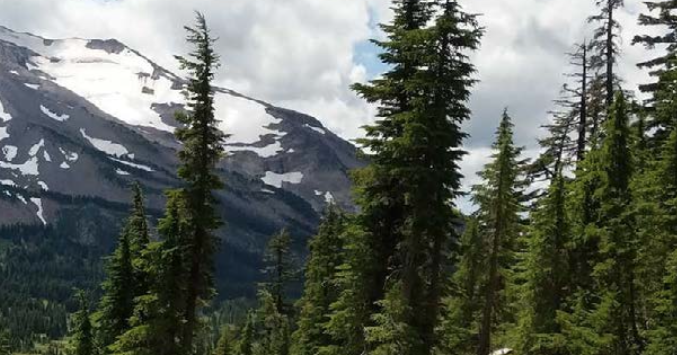 69cd5c7a2b889.image.png?crop=677,355,0,2