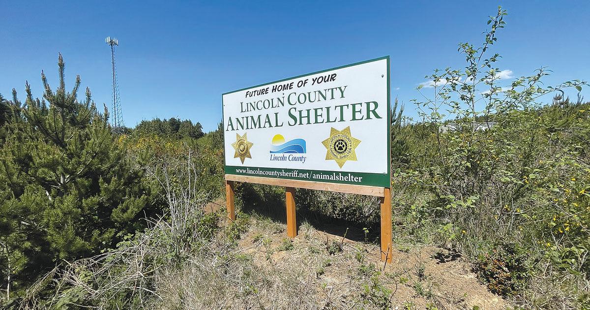 Contract awarded for new animal shelter - Vimarsana News