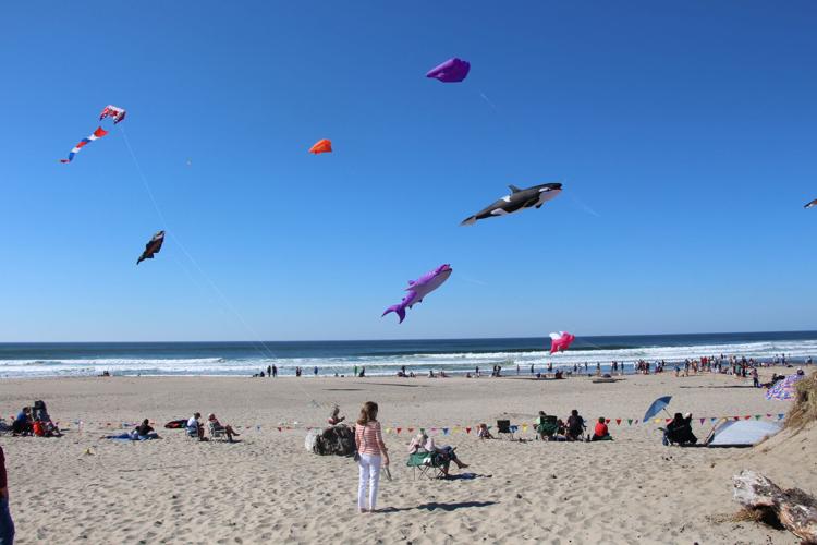 Photos / In the Air Fall Kite Festival in Lincoln City News