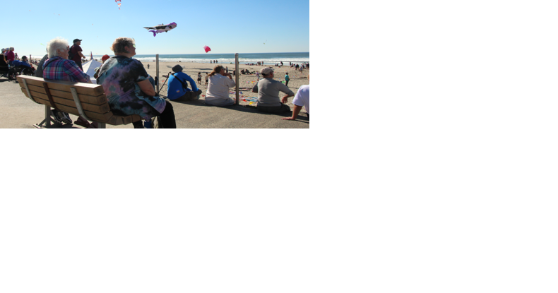 In the Sky: Annual Fall Kite Festival returns - Vimarsana News