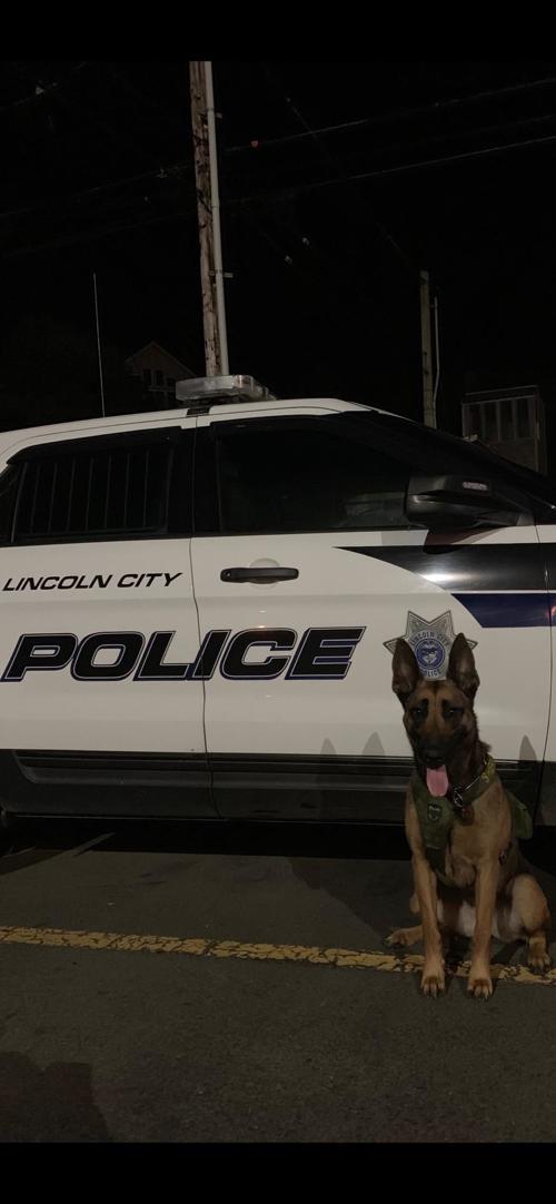 Lincoln Counyt Sheriff's K-9 Nix