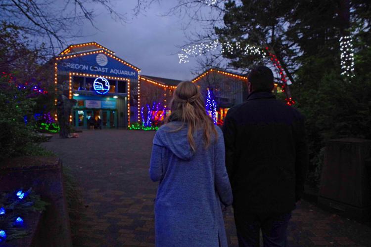 Newport Oregon Aquarium Christmas Lights 2022 Sea Of Lights Returns To Oregon Coast Aquarium For Holiday Season |  Community | Thenewsguard.com