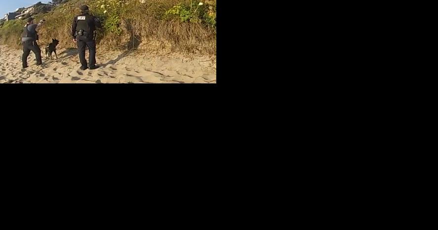 Police Pursuit: K9 helps capture felony warrant suspect - Vimarsana News