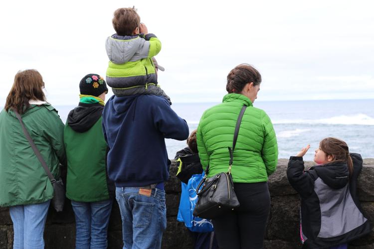 PHOTOS / WINTER WHALE MIGRATION: Oregon Coast tradition | News