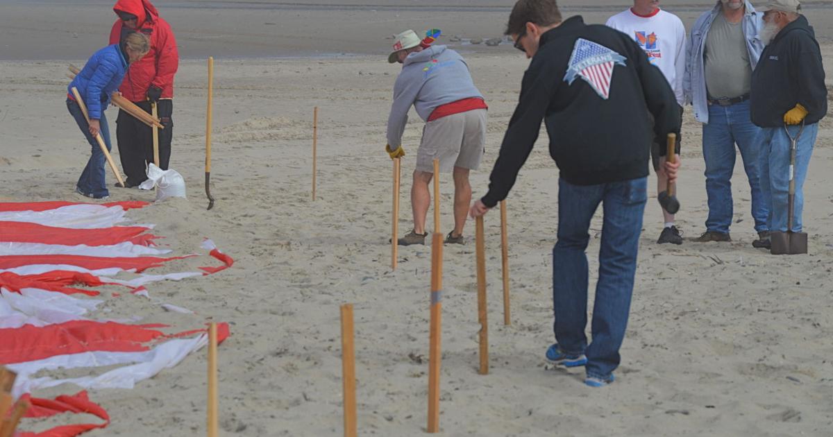 Video Update Kite Festival Weather Too Windy To Launch Mega Flag News Thenewsguard Com Video Update Kite Festival Weather Too Windy To Launch Mega Flag News Thenewsguard Com