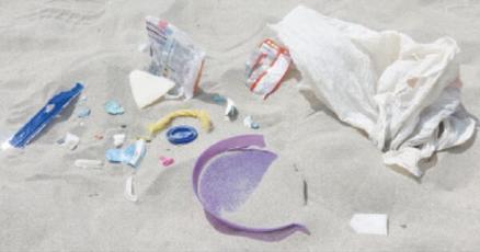 Environment: Congress to consider Break Free from Plastic Pollution Act - Vimarsana News