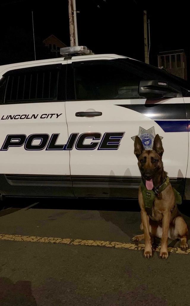 Burglary suspect who fled from Lincoln City Police captured with the