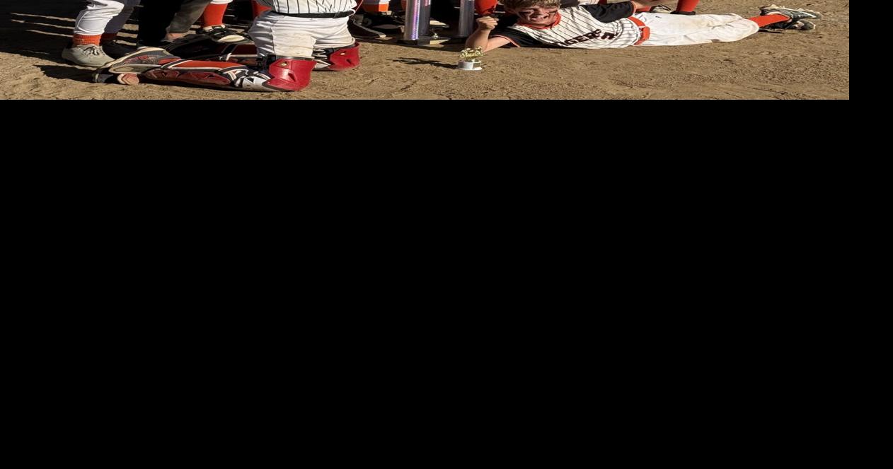 Little League squad wins state!