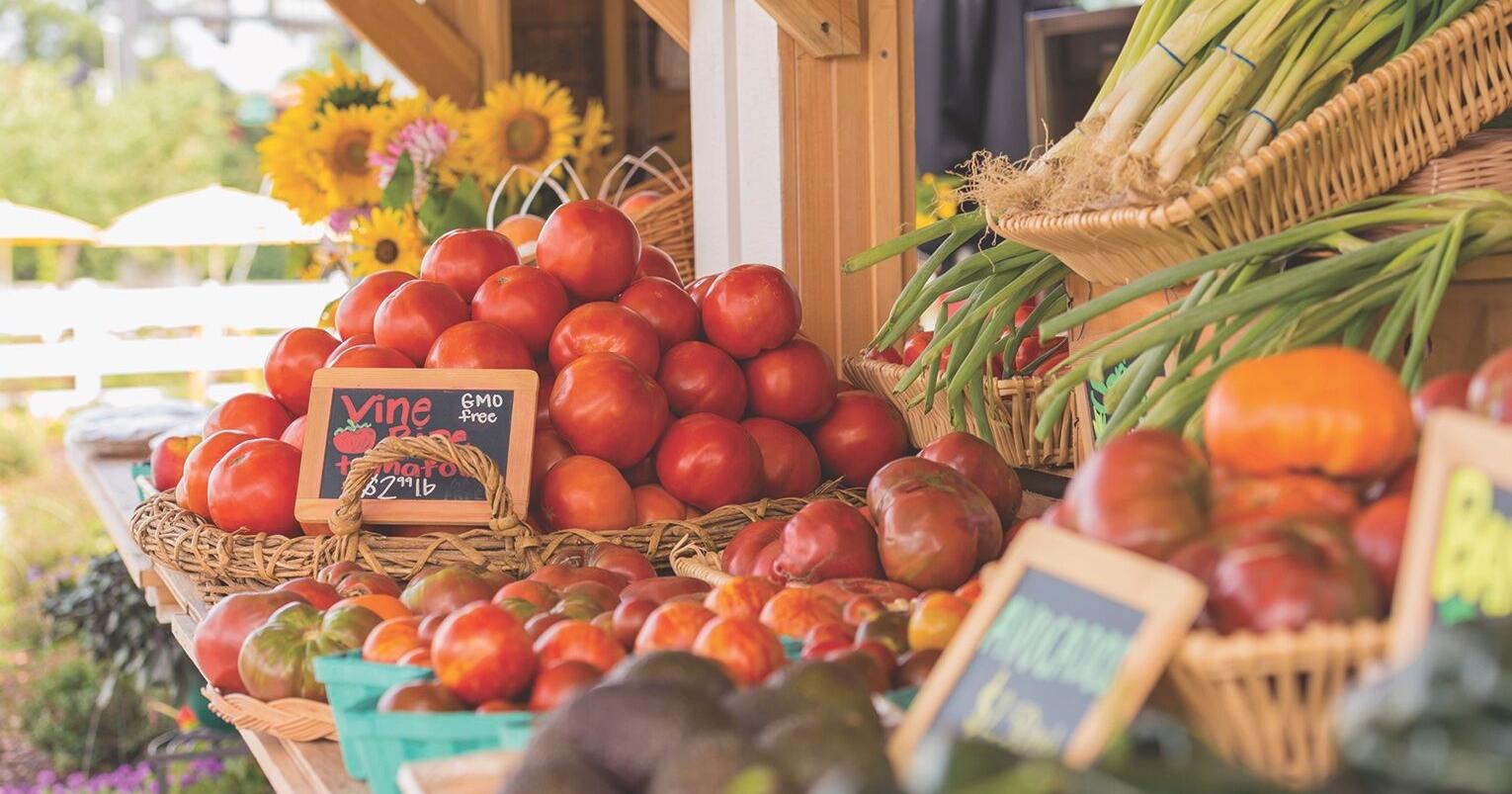 In the Kitchen: OSU Extension Food Safety and Preservation hotline opens for the season - Vimarsana News