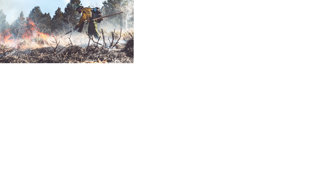 Climate Changing: Research shows times for 'prescribed burns' in the West shifting | News - Vimarsana News